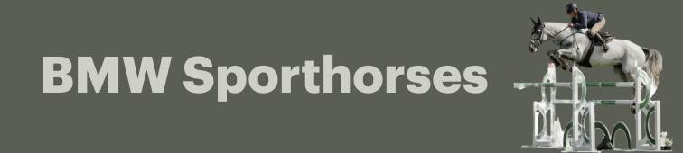 Sponsor